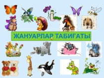 Жануарлар табиғаты