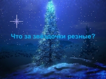 Презентация по курсу Экология 1 класс.Внеурочная деятельность