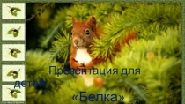 Слайд на занятие по Естествознанию