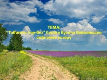 Презентация по татарскому языку на тему Табигать һәм без (7 класс )