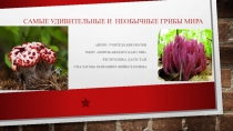 Презентация Самые удивительные и необычные грибы мира ( для 6 классов)