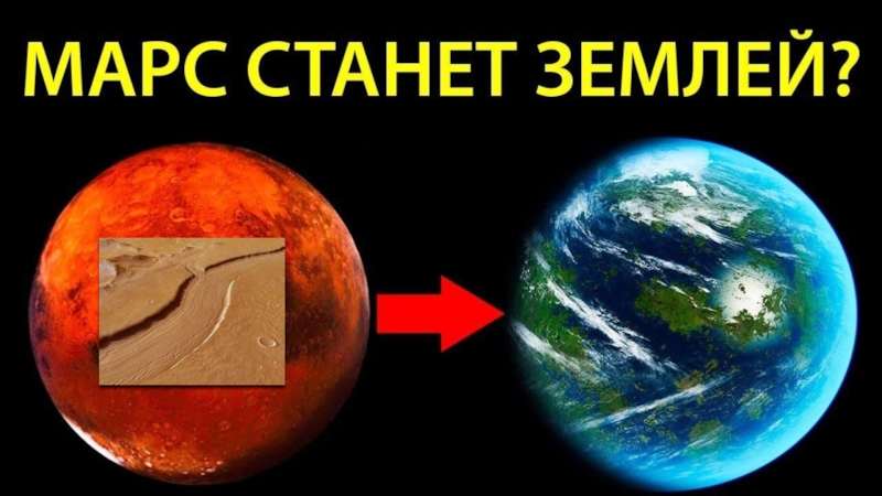 Исследовательская работа на тему: В поисках нового дома