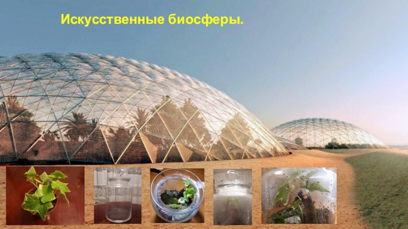 Исследовательская работа на тему: В поисках нового дома Искусственные биосферы. Искусственные биосферы.