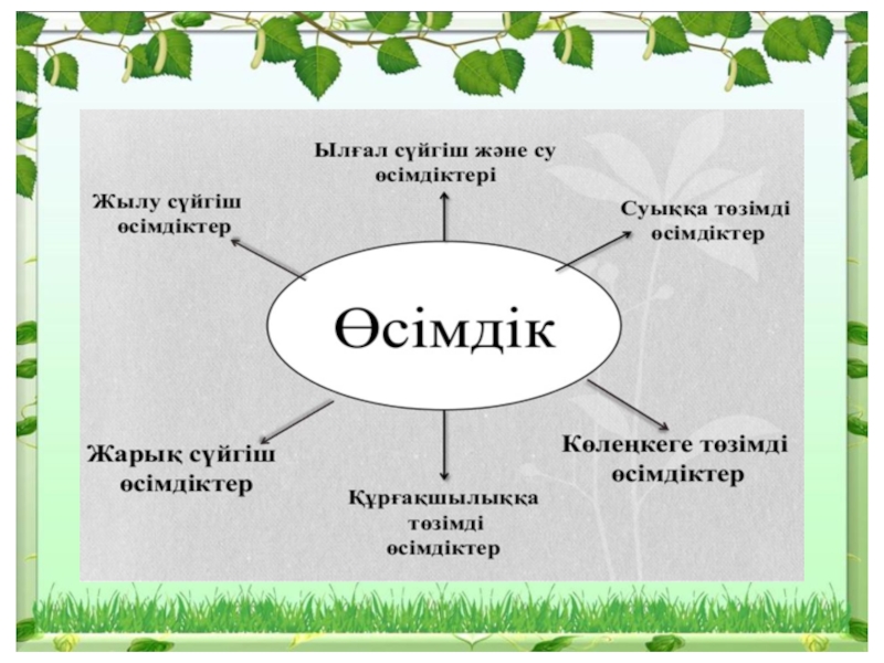 Өсімдік шаруашылығындағы көктемгі жұмыстар 5 сынып презентация