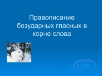 Презентация к уроку по русскому языку, на тему Безударные глассные в корне слова (3 класс)