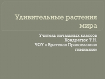 Презентация по окружающему миру Удивительные растения мира, 1 класс