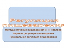 Презентация по биологии на тему Регуляция пищеварения