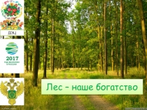 Презентация к эко-уроку Леса России для средних классов