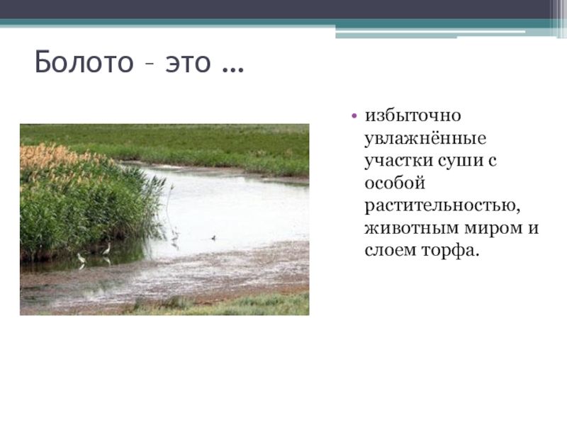 Болота география 6. Болото это в географии. По географии что такое болото. Болото это избыточно увлажнённый участок суши с растительностью. Избыточно увлажнённый участок суши?.