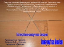 Проект Что можно сделать из бумаги приготовлен ученицей 11 класса (плетение из бумажных трубочек)