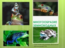 Презентация по биологии на тему Многообразие земноводных (7 класс)