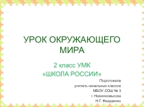 Презентация к уроку окружающий мир Дикорастущие и культурные растения