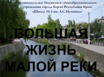 Презентация исследовательского проекта МО естественных наук Большая жизнь малой реки