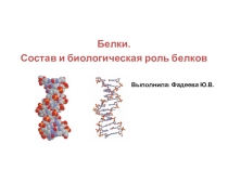 Презентация по теме Белки. Состав и биологическая роль
