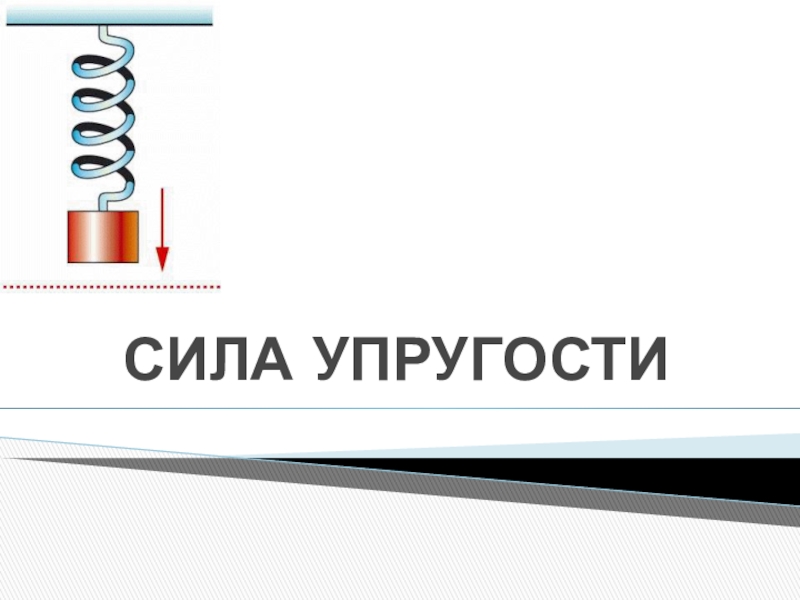 Сила упругости реферат. Сила упругости презентация. Виды силы упругости в физике 7 класс. Сила упругости 7. Кластеры на тему сила упругости.