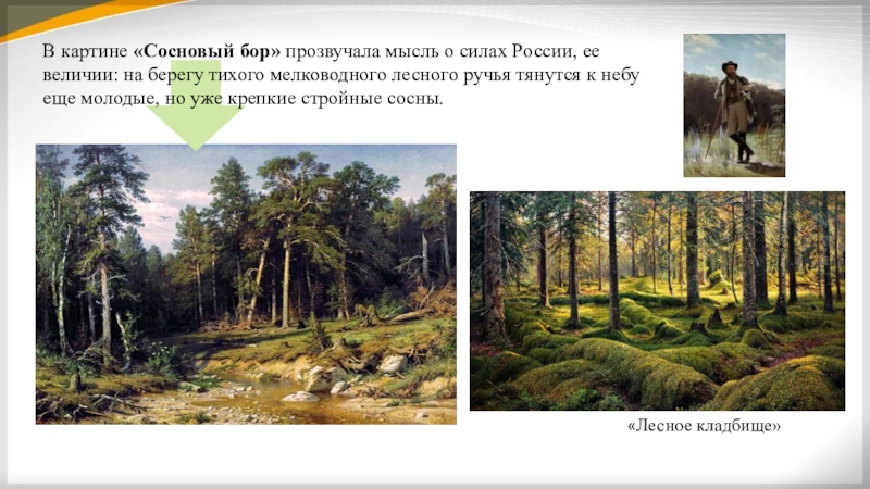 Описание картины сосновый лес. Описание картины Сосновый Бор. Вопросы про пейзаж. Иван Шишкин Сосновый Бор мачтовый лес. Моё отношение к пейзажу.