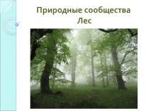 Презентация Природное сообщество лес 2 класс