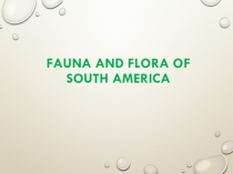 Презентация по английскому языку на тему Fauna and Flora of South America