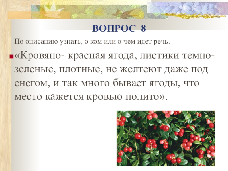 Найти по описанию. Кровяно красная ягода листики темно зеленые. Узнай ягоду по описанию. Описание ягод в кладовой солнца. Узнай по описанию о ком идет речь большую роль в развитии.