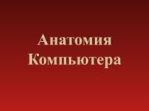 Презентация по информатике на тему Анатомия Компьютера