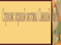 Презентация по биологии на тему строение и значение нервной системы (8 класс)