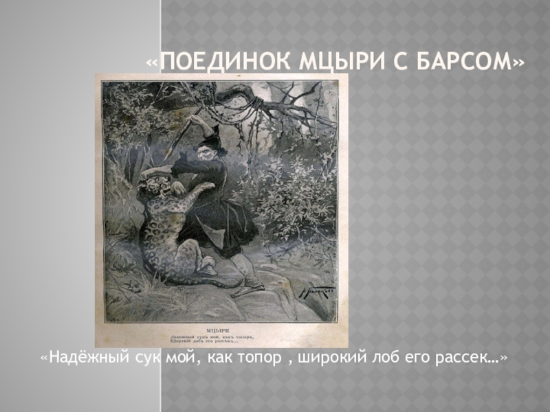 Образ Мцыри в иллюстрациях художников 20 века. «Поединок Мцыри с барсом»«Надёжный сук мой, как топор , широкий лоб его рассек…» «Поединок Мцыри с барсом»«Надёжный сук мой, как топор , широкий лоб его рассек…»