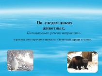Презентация по следам диких животных. Познавательно-речевое направление. Старшая группа