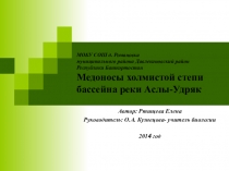 Презентация к учебной исследовательской работе Медоносы холмистой степи бассейна реки Аслы-Удряк