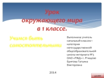 Презентация по окружающему миру на тему Один дома (1 класс)