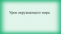 Презентация по окружающему миру по теме О друзьях товарищах