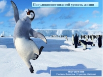 Презентация по биологии Популяционно-видовой уровень жизни