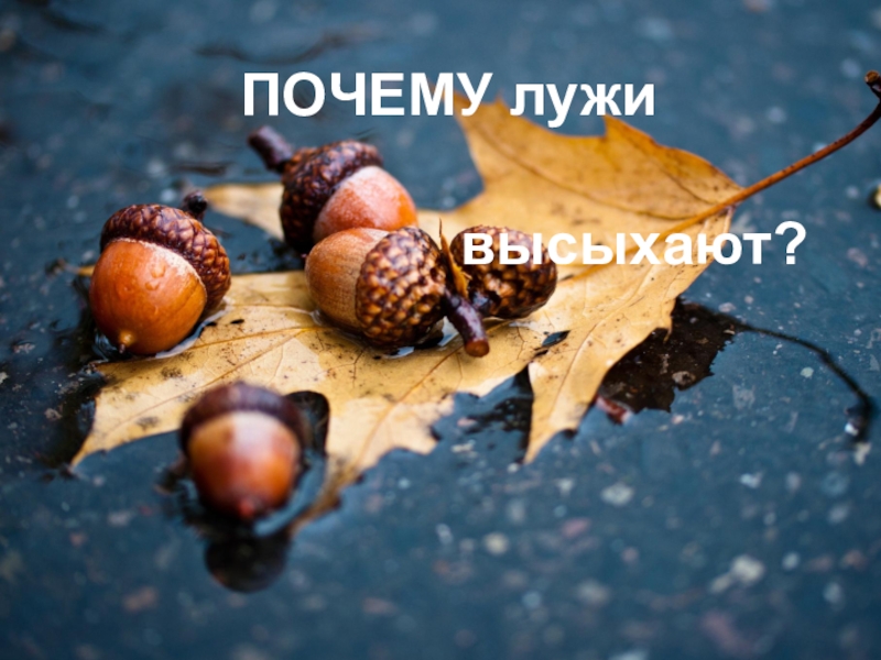 Презентация. почему высохла лужа? ПОЧЕМУ лужи высыхают? ПОЧЕМУ лужи высыхают?