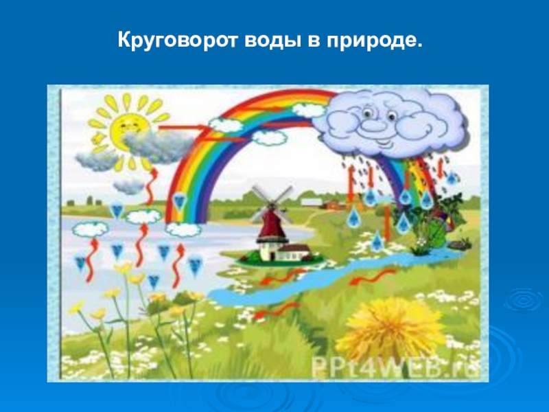 Презентация. почему высохла лужа? Круговорот воды в природе. Круговорот воды в природе.