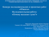 Презентация. почему высохла лужа?