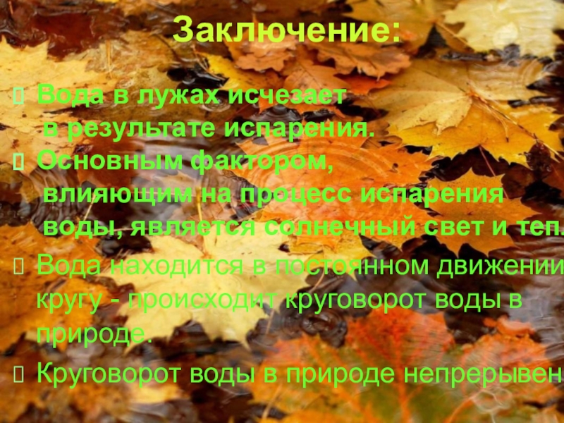 В какую погоду просыхают лужи. Проект почему высохла лужа. Почему высохла лужа исследовательская работа. Почему высыхает лужа. Почему высохла лужа проектная работа.