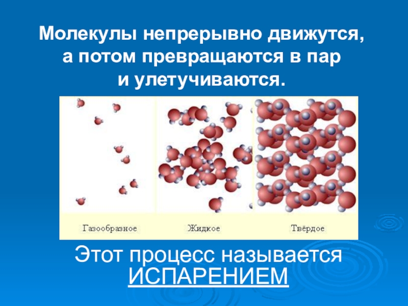 Презентация. почему высохла лужа? Молекулы непрерывно движутся, а потом превращаются в пар и улетучиваются.Этот процесс называется ИСПАРЕНИЕМ Молекулы непрерывно движутся, а потом превращаются в пар и улетучиваются.Этот процесс называется ИСПАРЕНИЕМ