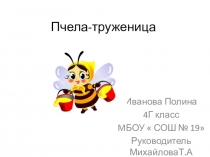 Презентация по окружающему миру  Пчела-труженница