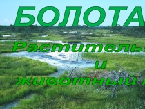 Презентация по окружающему миру на тему Болота 3 класс