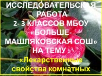 Исследовательская работа на тему: Лечебные свойства комнатных цветов.