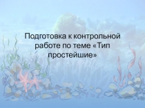 Обобщение по теме Подцарство простейшие