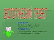 Экологический проект. Чистое село- чистая совесть