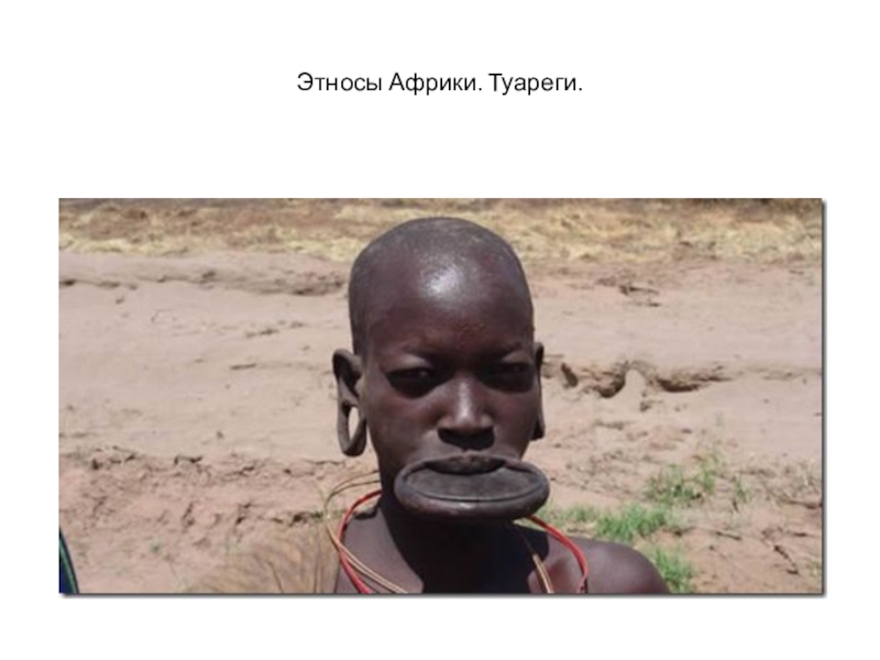 Этносы Африки. Туареги.