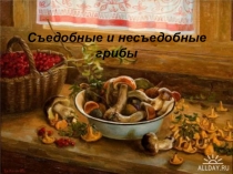 Съедобные и несъедобные грибы