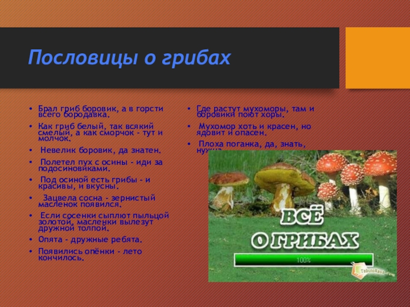 Возьми гриб. Пословицы о грибах. Поговорки про грибы. Пословицы о грибах для детей. Пословицы про грибов.