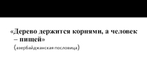 Экологический проект Антиреклама продуктов питания