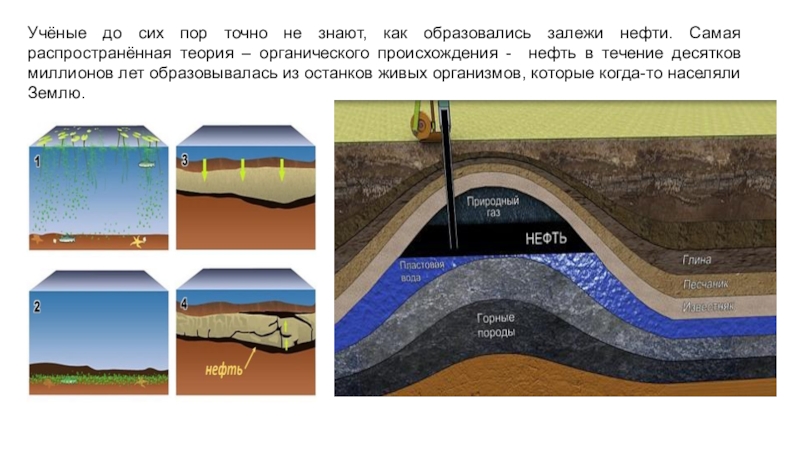 Картинки происхождение нефти