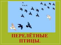 Презентация внеклассного занятия на тему Перелётные птицы