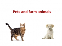 Презентация Pets and Farm animals разработана к уроку английского языка (5 класс). Разработка составлена по учебникуSpotlight авторов Ю. Е. Ваулина, О. Е. Подоляко, Д. Дули, В. Эванс для 5 класса. Учебник предназначен для учащихся общеобразовательных