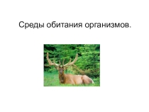 Презентация среды обитания организмов.