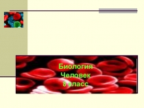 Презентация к уроку биологии 8 класс Внутренняя среда организма